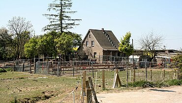 Animal Hoarding - Fall Brandenburg Prenzlau – Man sieht gleich, dass hier ein Tiermessie am Werke ist. 